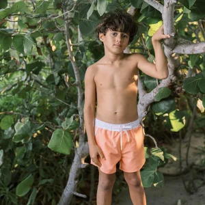 minnow Boardies<Boys Boardie Calypso Coral