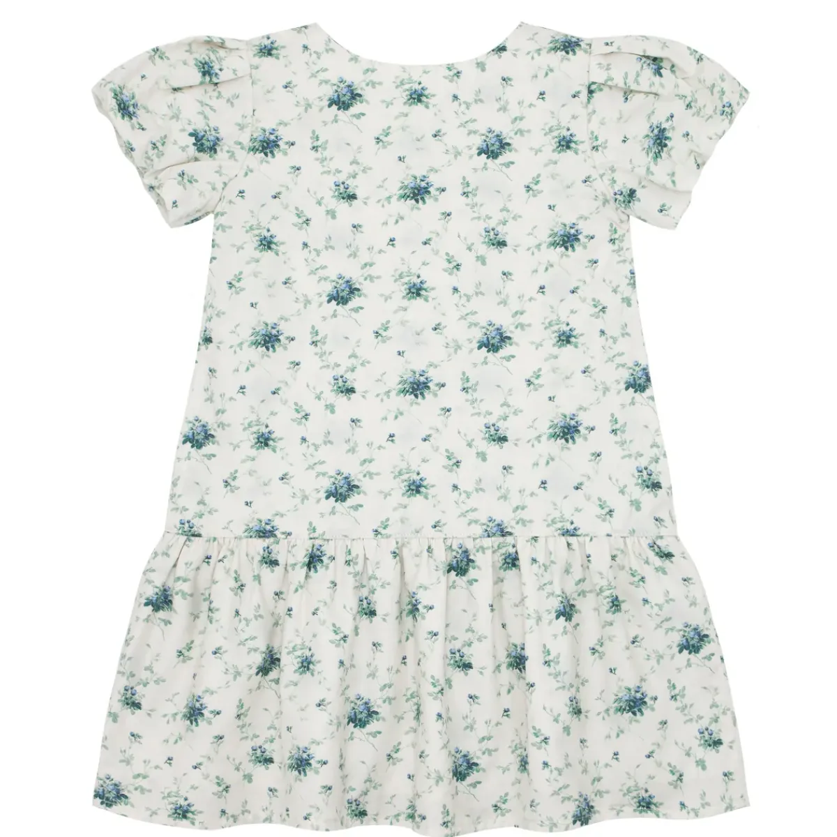 girls_brock_collection_x__3-3.webp minnow Dresses<Girls Brock Collection X Drop Waist Dress Classic Fleur